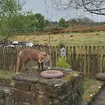 Glenedagh Oughter 3* Балликасл