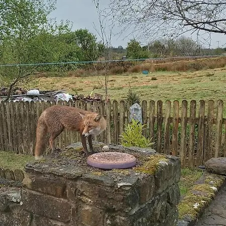 Glenedagh Oughter 3* Балликасл