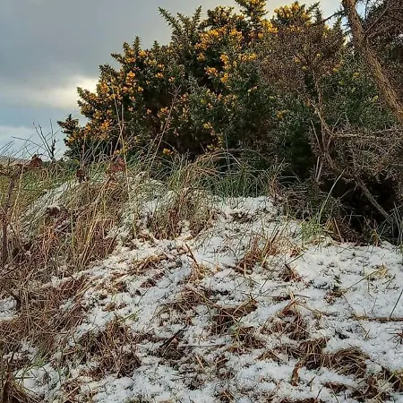 Glenedagh Oughter Отель типа 