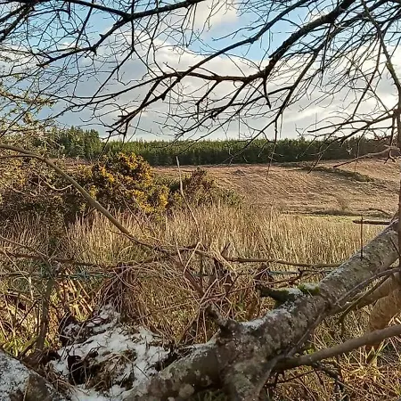 Glenedagh Oughter