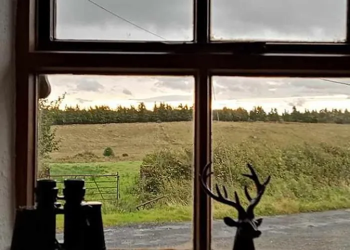 Glenedagh Oughter Bed and breakfast Ballycastle (Mayo)